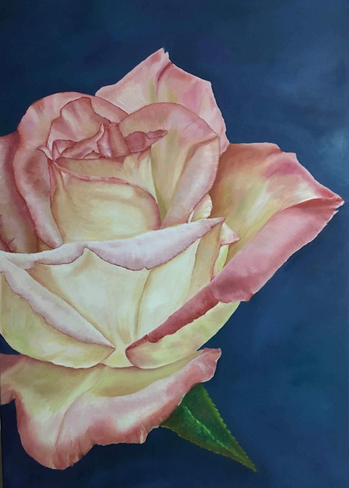 Rosa